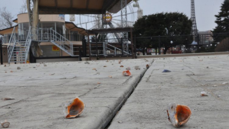 Снимка: Пламен Гутинов, архив