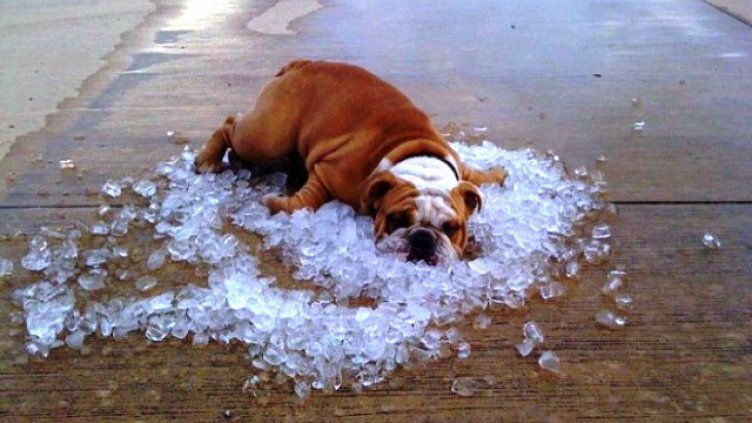 Температурен рекорд от 33 °C във Варна на 18 септември