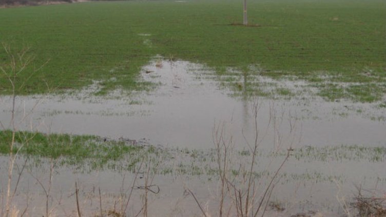 67 литра на квадрат удавиха села в Аксаково