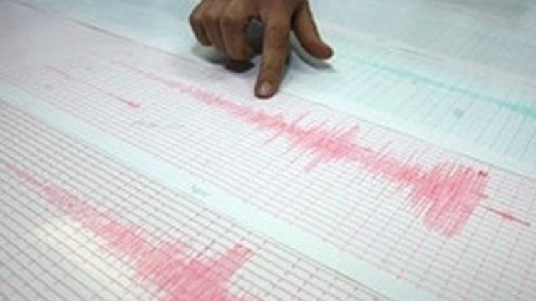 Слабо земетресение край Витиня