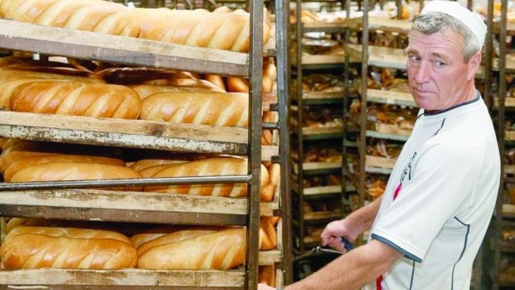 Зърното поевтиня с 30%, хлябът - не