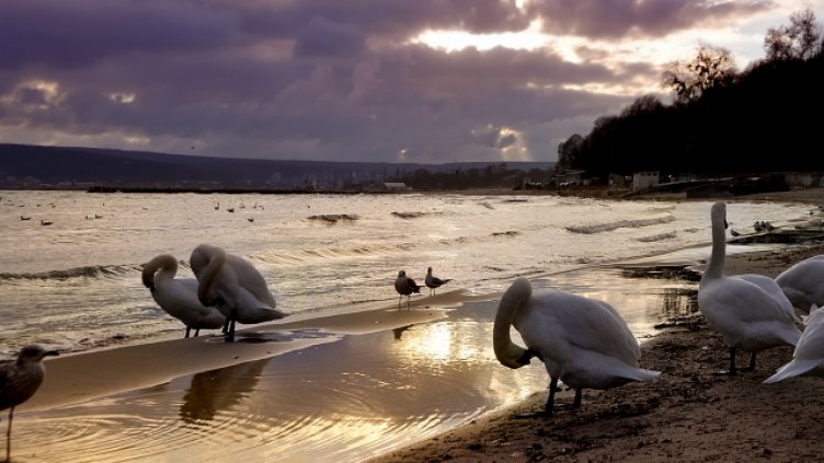 Прогноза за времето на тв Черно море за 1 февруари