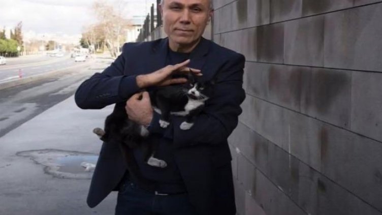 Али Агджа гледа бездомни котки в Истанбул