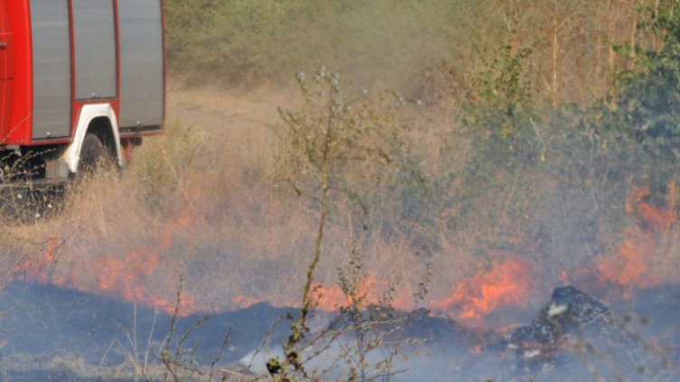 Спасиха 110 пчелни кошера и гора от пожар край Сливен
