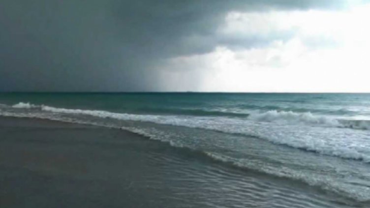 Мъртви кози с румънска маркировка изхвърли морето край Дуранкулак 