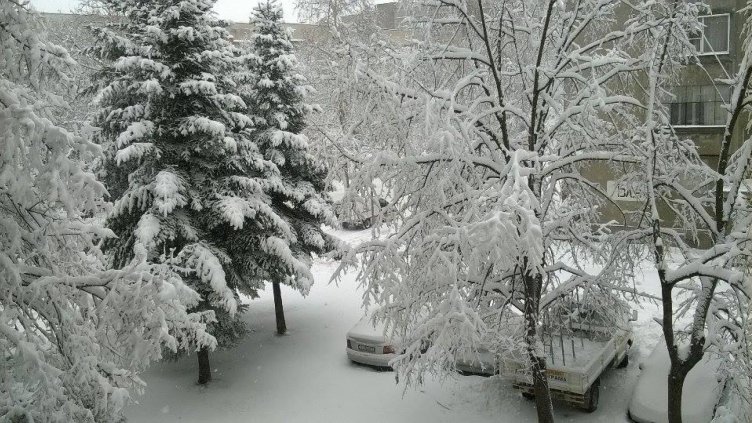 Снежна приказка в Търговище (СНИМКИ)