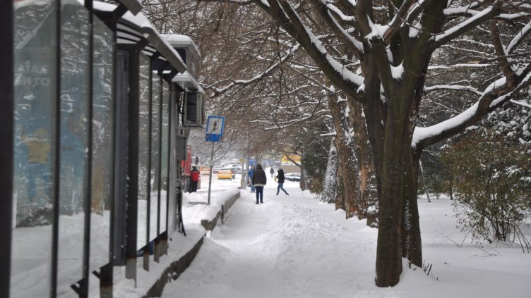 Настаниха 104-ма в приюта за бездомни