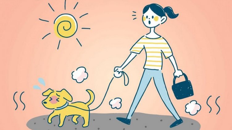 Разходка в жегата: Как да предпазим домашния любимец