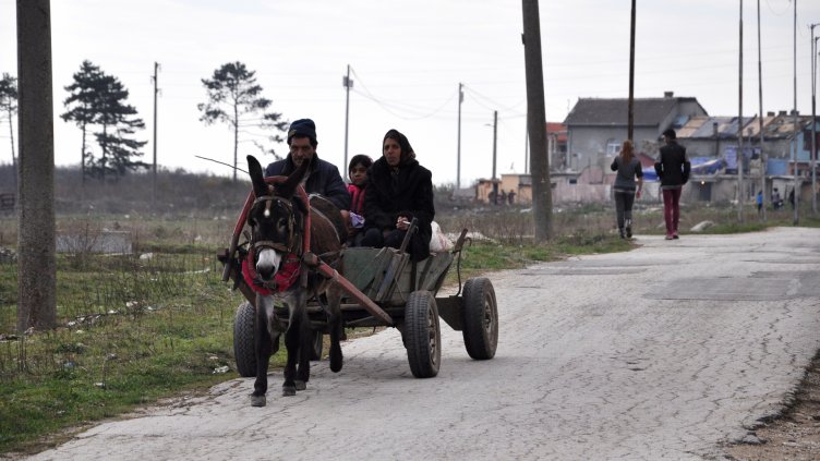 Снимки: Пламен Гутинов