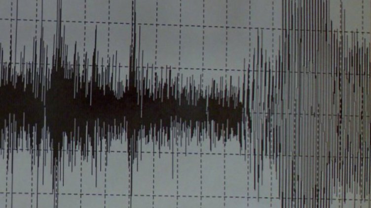 Трус от 3 по Рихтер разбуди Добрич