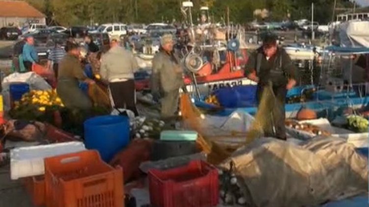 Край Ахтопол и Царево морето ври от паламуд