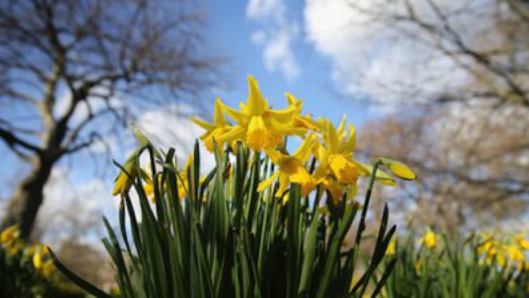 Днес ще бъде предимно слънчево с максимални температури до 22 градуса
