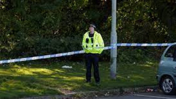 Нападнаха мъж и го изнасилиха в храстите