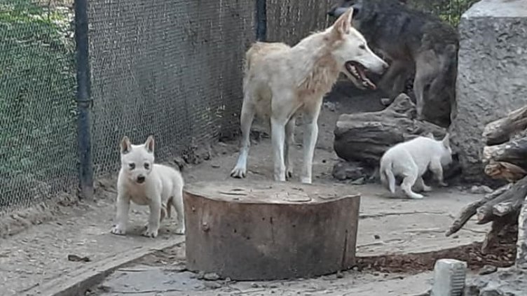 Снимка: Фейсбук