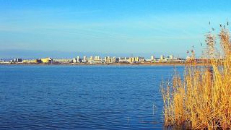 Спипаха малолетни незаконни рибари на езерото Вая