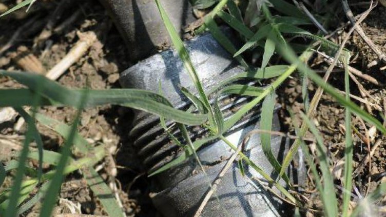 Обезвредени са боеприпаси открити в различни населени места 