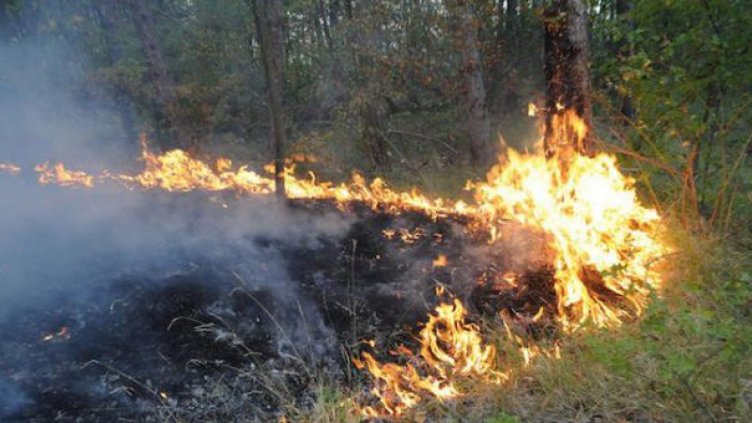 Кресна организира национална кампания за възстановяване от пожара