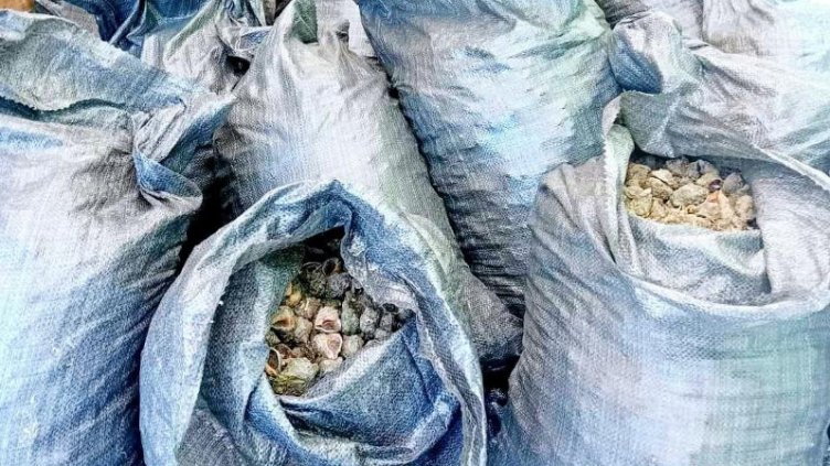 Хванаха камион с близо 4 тона рапани (СНИМКИ)