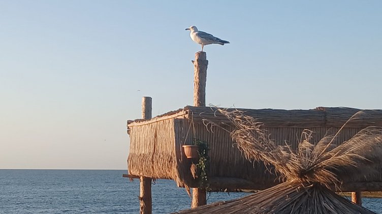 Слънчево време в цялата страна днес