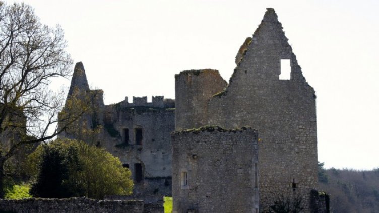 25 хил. души станаха съсобственици на френски замък