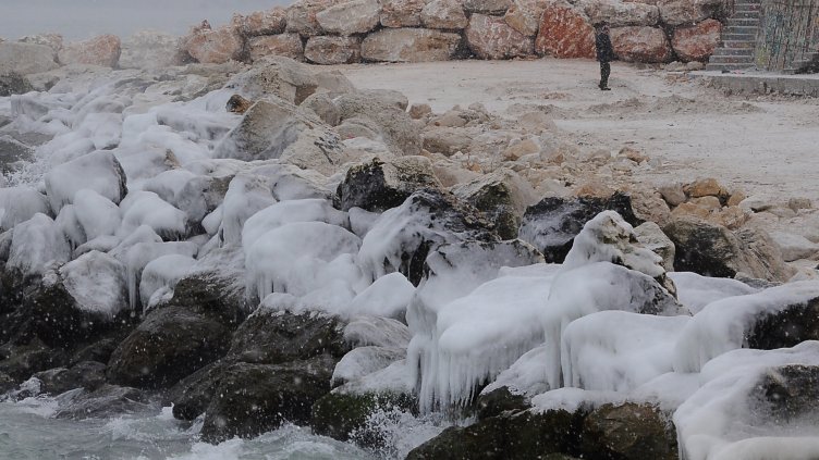 Снимка Пламен Гутинов