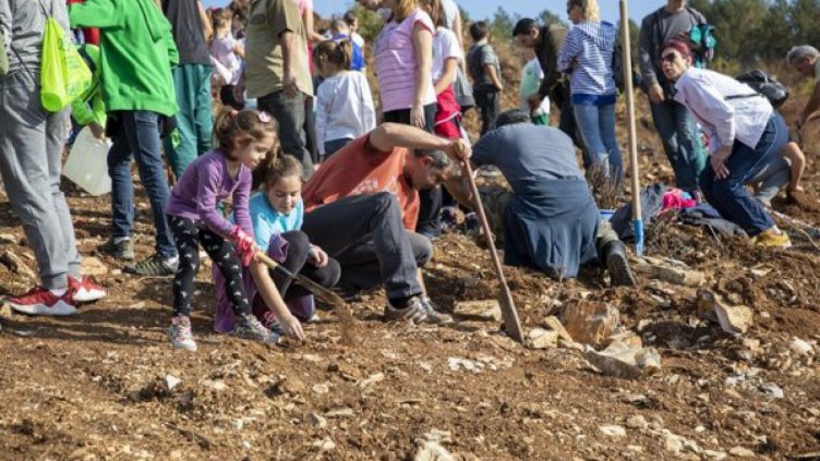 Стотици старозагорци засяха нова дъбова гора 