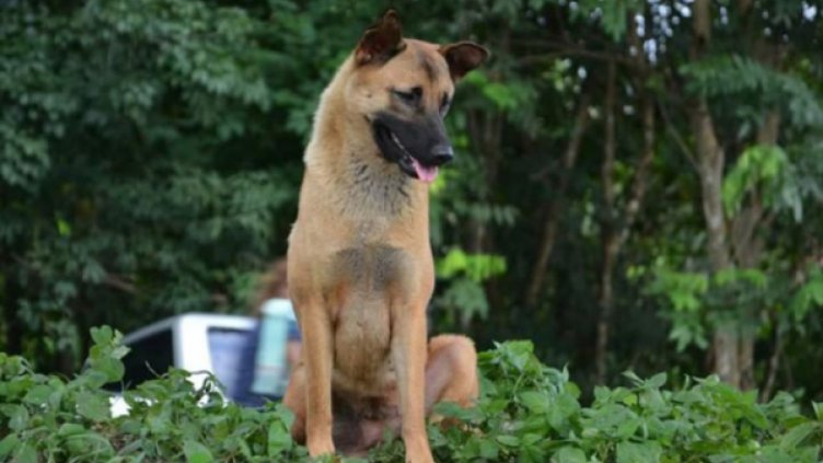 Снимка: telegraph.co.uk