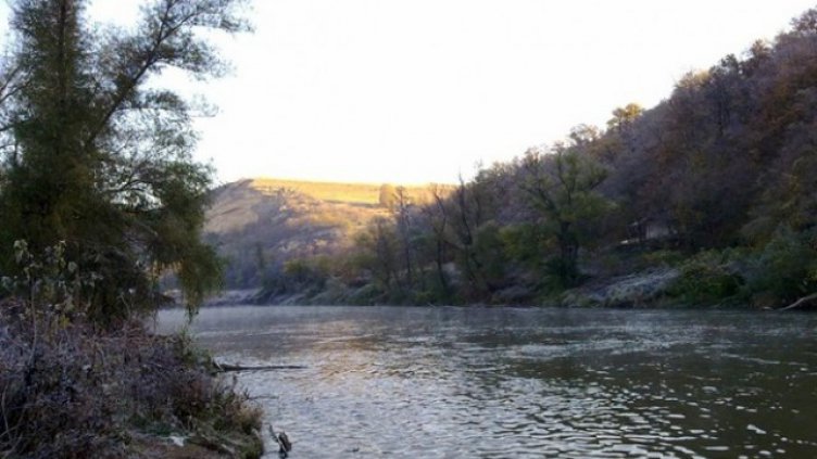 Глоба за кравеферма край Монтана, замърсявала река Огоста 