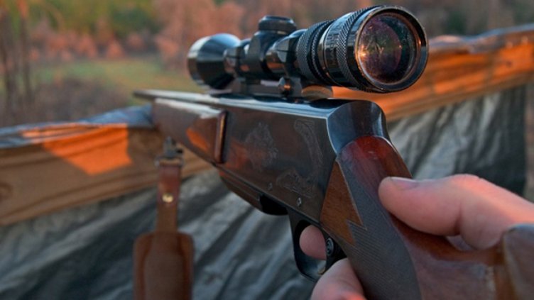 Варненец разстреля три бездомни кучета