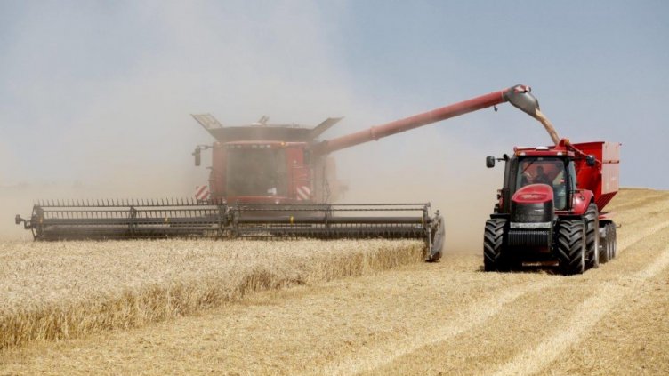 По Нова година внасяме хлебна пшеница?