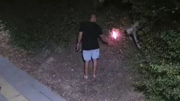 Съдят за тероризъм двамата задържани за палежи у нас