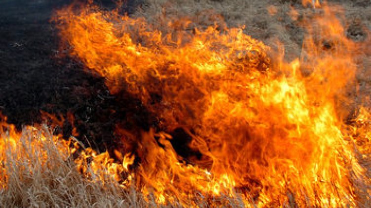 Движението по „Тракия” е спряно при км 12 заради горски пожар