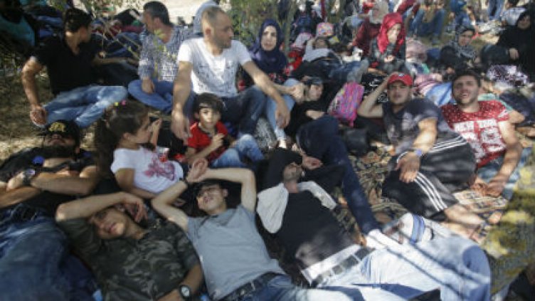 Бус с нелегални мигранти катастрофира край Калофер
