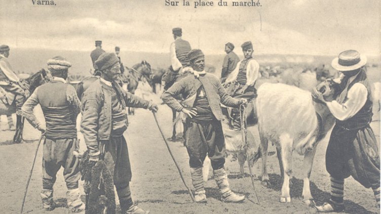 Непознатата история: Строго се забранява безконтролното пущане на добитък из улиците на Варна