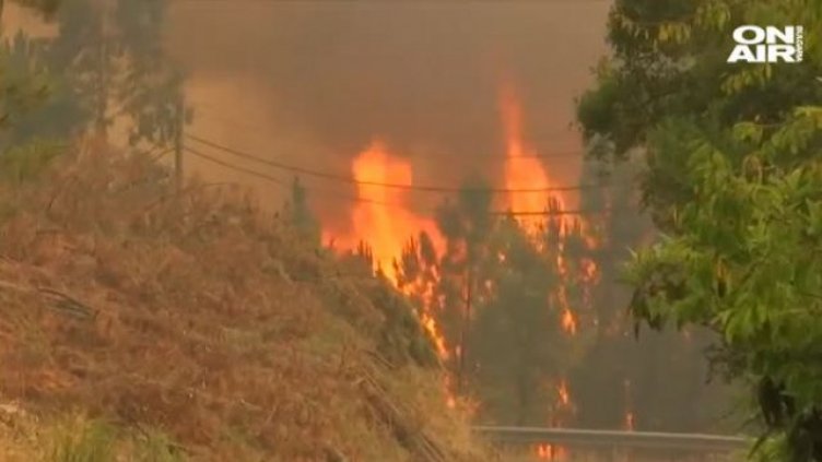 Невиждани горски пожари заради жегите