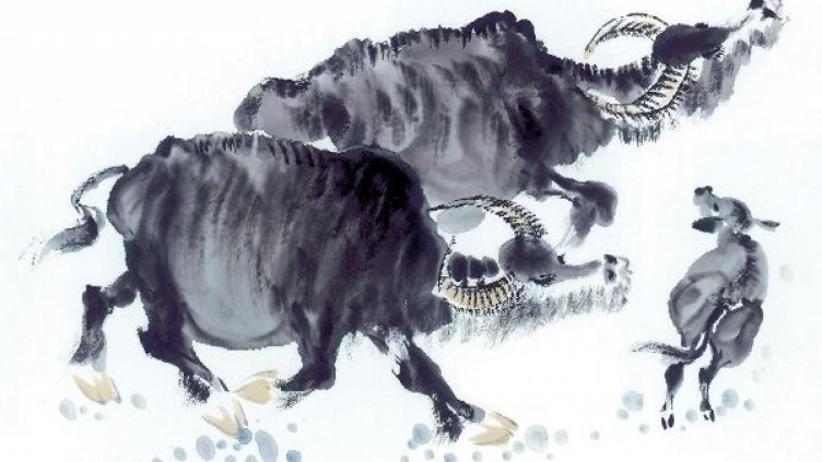 2019 – годината на Земния глиган (Бик)