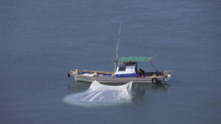 Рибари се ориентират към реки и водоеми през зимата