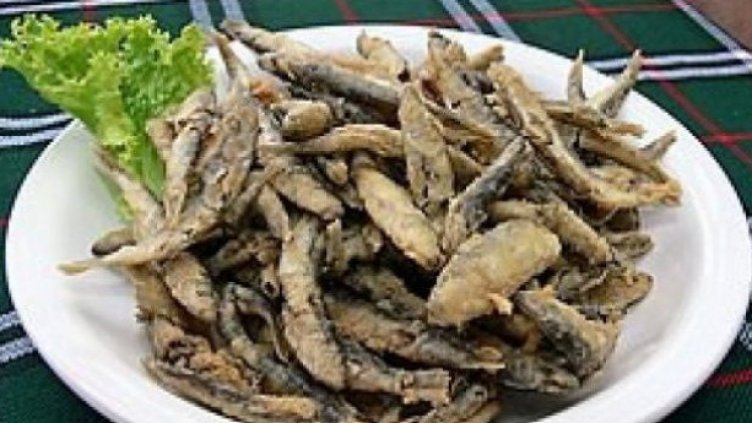 НАП-Варна е проверила над 320 обекта от 28 юни досега