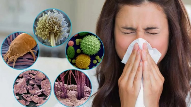 Отбелязваме Световния ден за борба с алергиите