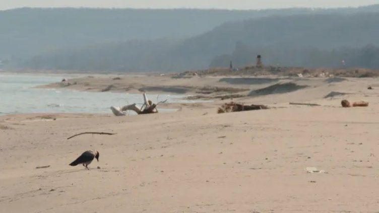 Камчийски пясъци отново става защитена местност