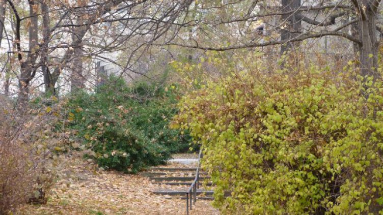 Вземете чадъри, може да превали