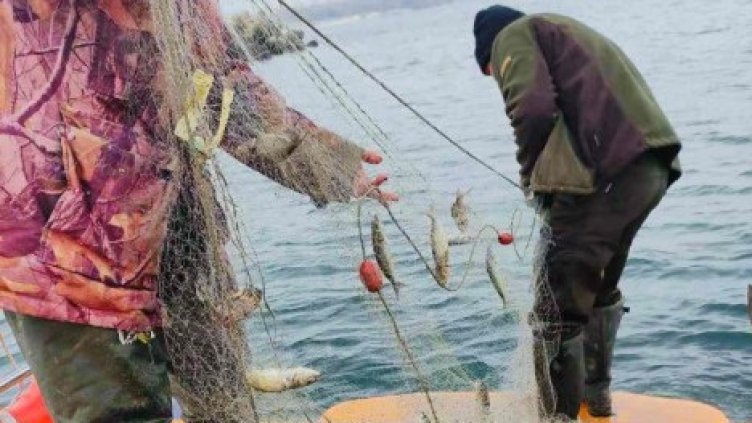 Рибари опасно "берат" чернокоп на пътя на корабите