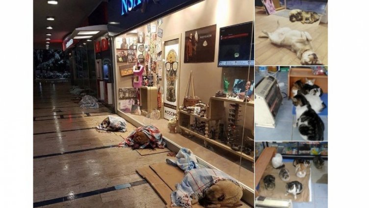 Снимки Twitter