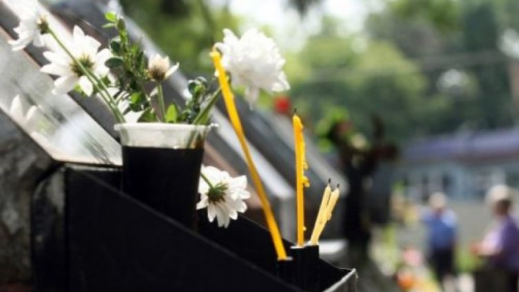 Черешова задушница е