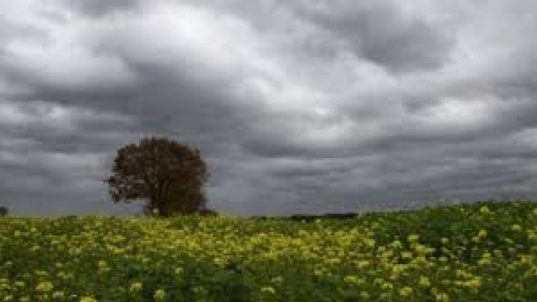 Времето на 20 ноември: Предимно облачно, на места е възможно да се появи слънце