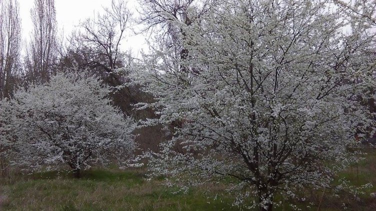 По-хладно време ни очаква през почивните дни
