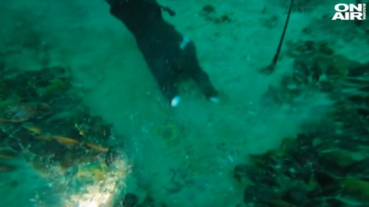 Източиха мазута от два резервоара на кораба "Мопанг"  