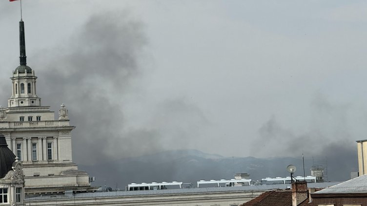 Снимка: БГНЕС