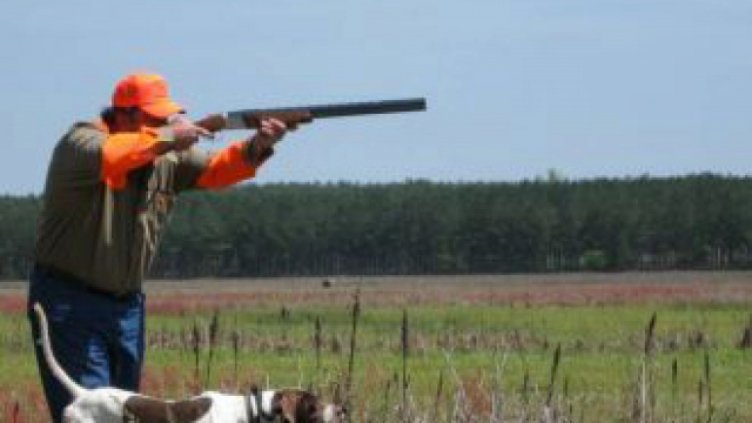 Откриват новия ловен сезон за прелетен дивеч