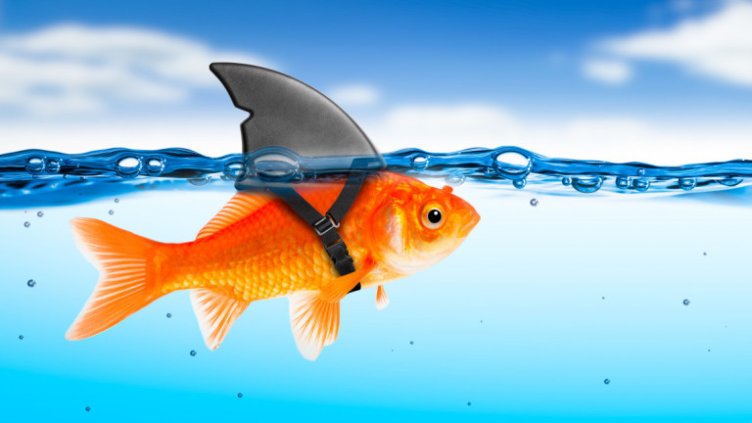 Виц на деня - 19 януари